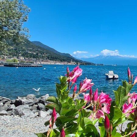 Ristorante Pizzeria Il Golfo